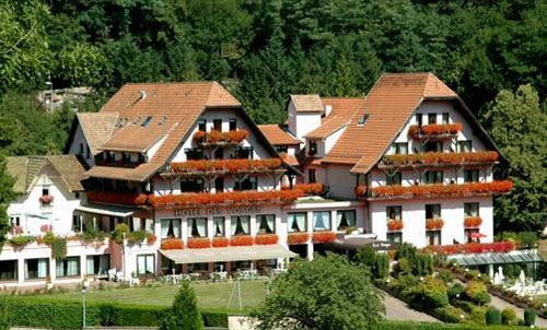 Hotel Restaurant Des Vosges Klingenthal المظهر الخارجي الصورة